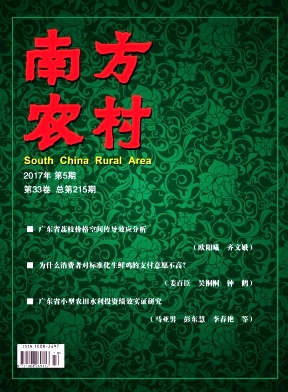 南方农村