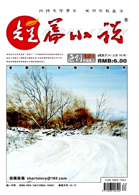 短篇小说(原创版)