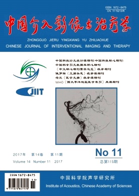 中国介入影像与治疗学