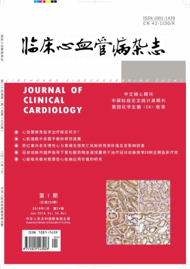 临床心血管病杂志