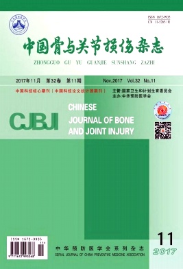 中国骨与关节损伤杂志