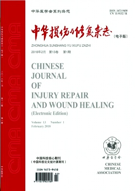 中华损伤与修复杂志(电子版)