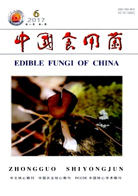 中国食用菌